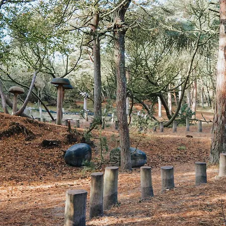 Amazing In Romo With Wifi